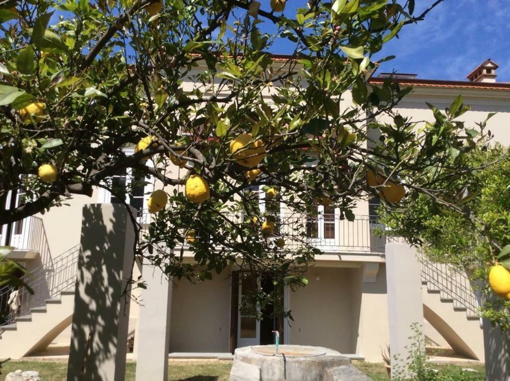 Villa Caterina Sapri Exterior photo